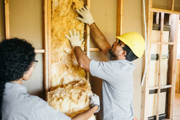 Best Commercial Insulation Services  in St Martinville, LA